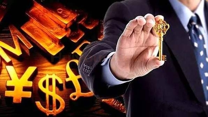 北京鴻晟興業(yè)信息咨詢(xún)服務(wù)有限責(zé)任公司 金融信息咨詢(xún)的專(zhuān)業(yè)服務(wù)