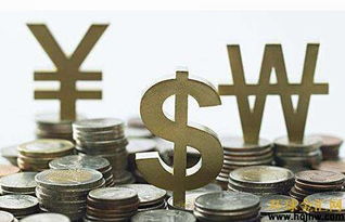 炒實(shí)盤與外匯咨詢 風(fēng)險(xiǎn)與機(jī)遇的博弈